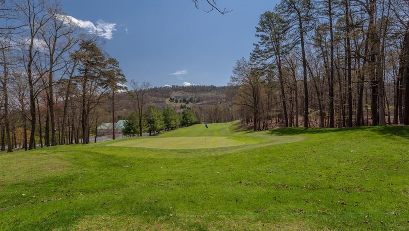 Massanutten's Woodstone Meadows By Tripforth *